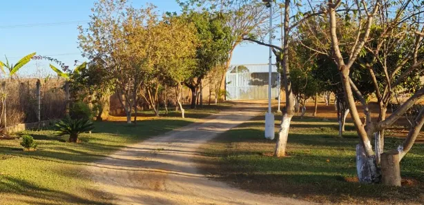 Fazenda/Sítio com 5 Quartos à venda, 4800m² no Incra 8, Brasília