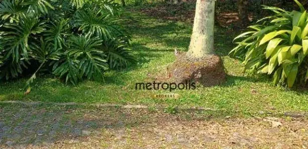 Lote/Terreno à venda, 374m² no Colônia, Ribeirão Pires