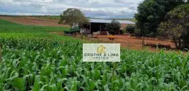 Fazenda/Sítio com 5 Quartos à venda, 800m² no Centro, Estreito