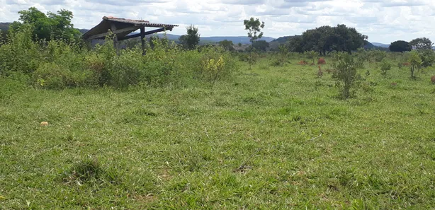 Lote/Terreno à venda, 20000m² no , Araçaí