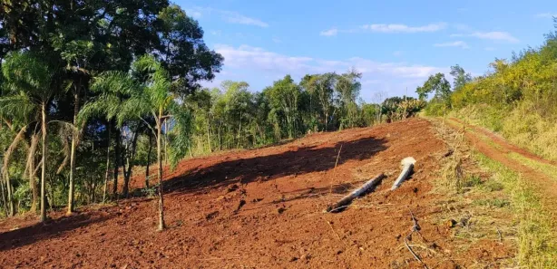 Lote/Terreno à venda, 23196m² no , Nova Petrópolis