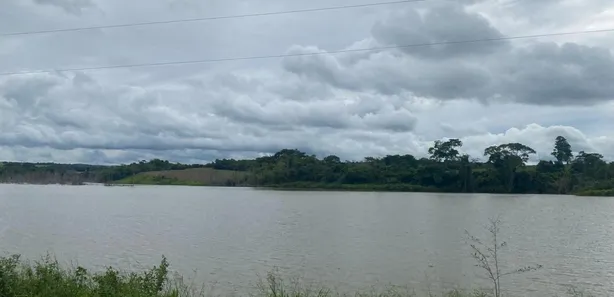 Fazenda/Sítio com 5 Quartos à venda, 35m² no , Silvânia
