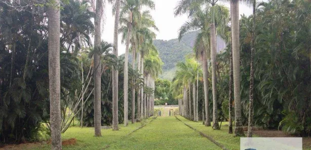 Fazenda/Sítio à venda, 48400m² no Comunidade Urbana de Iguape, Guarapari