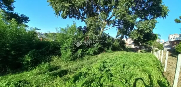 Lote/Terreno à venda, 999m² no Bela Vista, Caxias do Sul