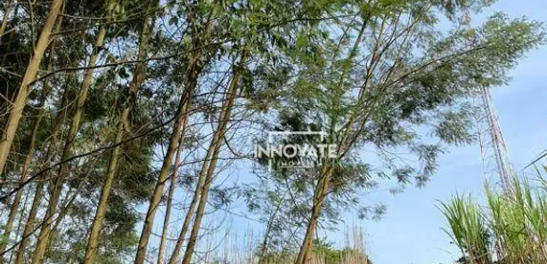 Lote/Terreno à venda, 31235m² no Centro, Presidente Lucena