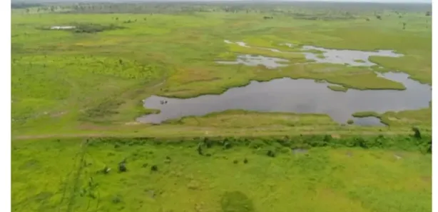 Fazenda/Sítio à venda, 6000m² no Zona Rural, Coroatá