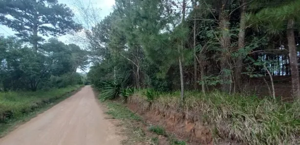 Lote/Terreno à venda, 3000m² no Krahe, Viamão
