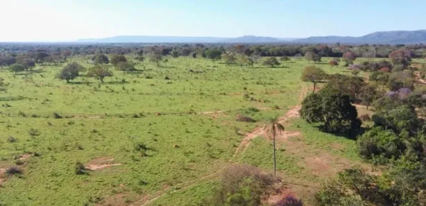 Fazenda/Sítio com 3 Quartos à venda, 162500m² no , Buritis
