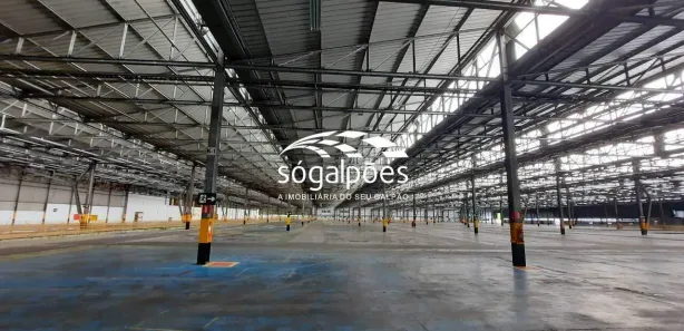 Galpão/Depósito/Armazém para alugar, 5000m² no Universitário, Belo Horizonte