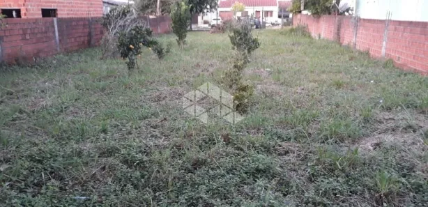 Lote/Terreno à venda, 480m² no Pé de Plátano, Santa Maria