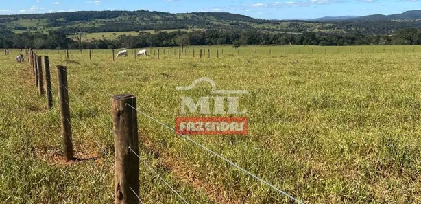Fazenda/Sítio à venda, 500m² no , Jaraguá