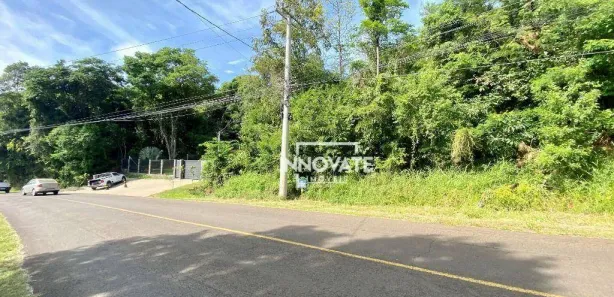 Lote/Terreno à venda, 2052m² no Vila Rosa, Dois Irmãos