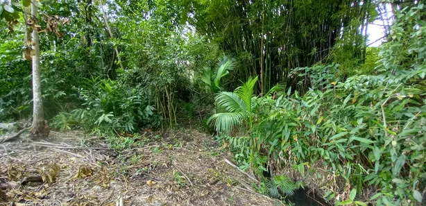 Fazenda/Sítio com 3 Quartos à venda, 32000m² no Zona Rural, Silvânia
