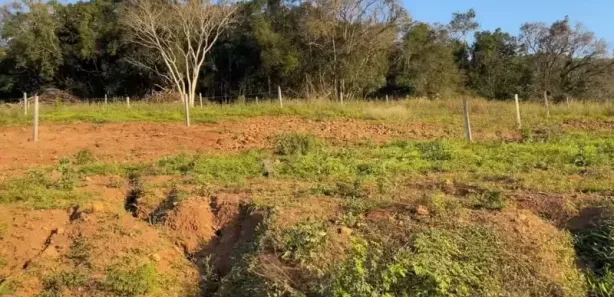 Fazenda/Sítio com 1 Quarto à venda, 60m² no , Caraá