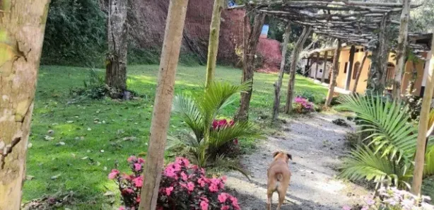 Imagem do imóvel