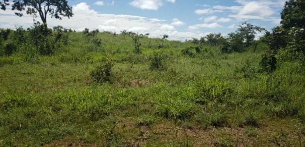 Fazenda/Sítio à venda no , Padre Bernardo