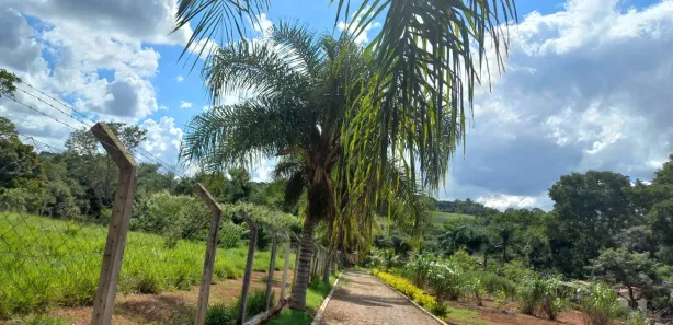 Fazenda/Sítio à venda, 10000m² no , Bonfinópolis