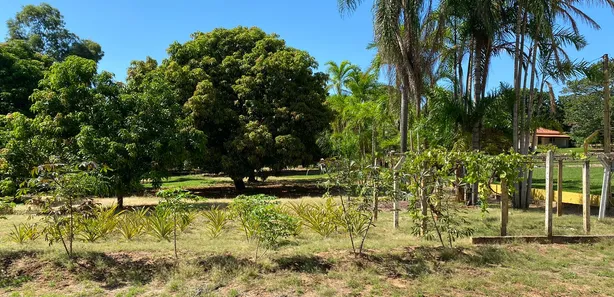 Lote/Terreno à venda, 1500m² no Centro, Dois Córregos