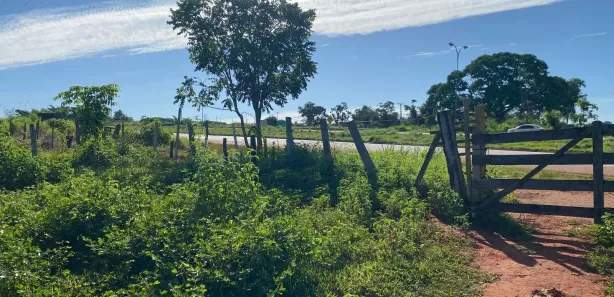 Fazenda/Sítio à venda, 134500m² no Setor Central, Guapó