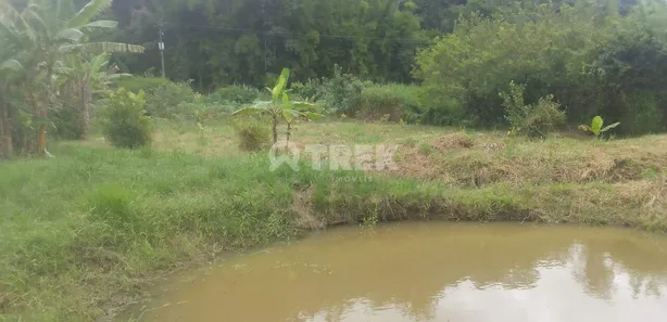 Fazenda/Sítio à venda, 24988m² no Lagoa Verde, Tanguá