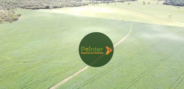 Fazenda/Sítio à venda, 701800m² no , Jaraguá