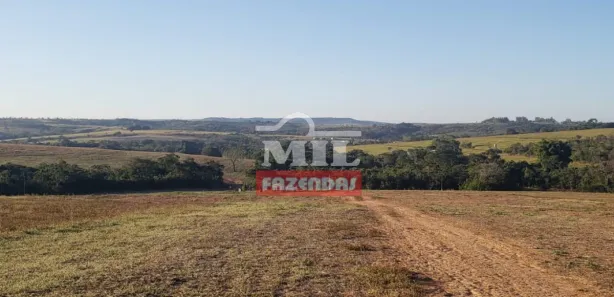 Fazenda/Sítio à venda, 20000m² no , Silvânia