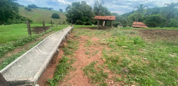 Lote/Terreno à venda, 6m² no Setor Central, Taquaral de Goiás