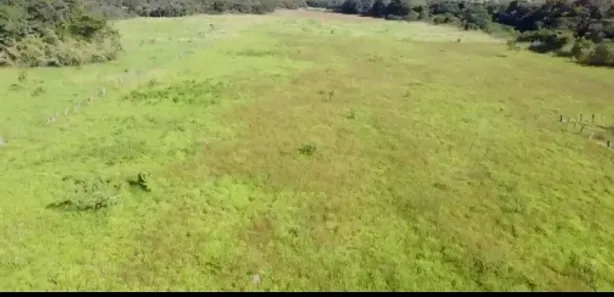 Fazenda/Sítio à venda no , Buritis