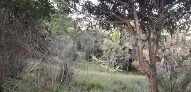 Lote/Terreno à venda, 4800m² no Itinga, Lauro de Freitas