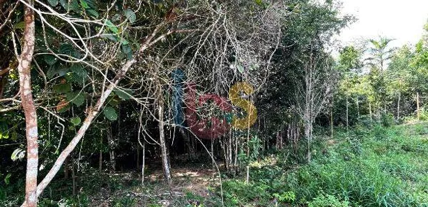 Lote/Terreno à venda, 1425m² no Trancoso, Porto Seguro