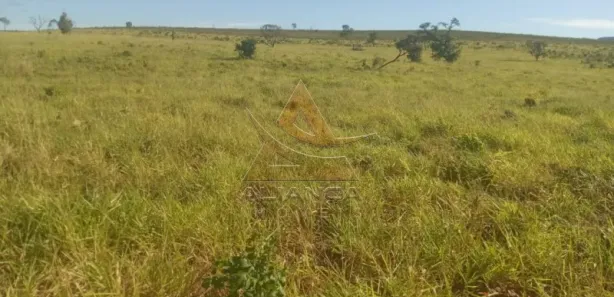 Fazenda/Sítio com 2 Quartos à venda, 22215600m² no Zona Rural, Ponte Alta do Bom Jesus