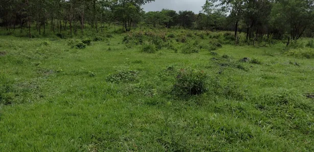 Lote/Terreno à venda, 20000m² no , Fortuna de Minas
