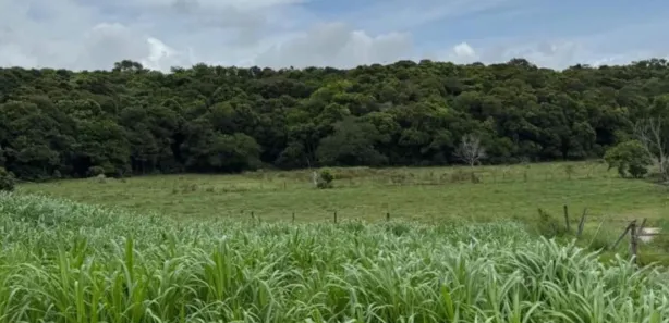 Fazenda/Sítio à venda, 65000m² no Comunidade Urbana de Jaboticaba, Guarapari
