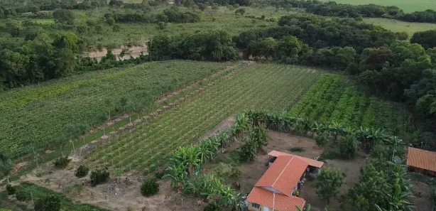Apartamento com 3 Quartos à venda, 5000m² no Buritis, Buritis