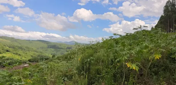 Fazenda/Sítio com 1 Quarto à venda, 60m² no , Caraá