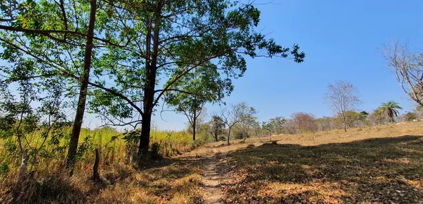 Lote/Terreno à venda, 20000m² no , Fortuna de Minas