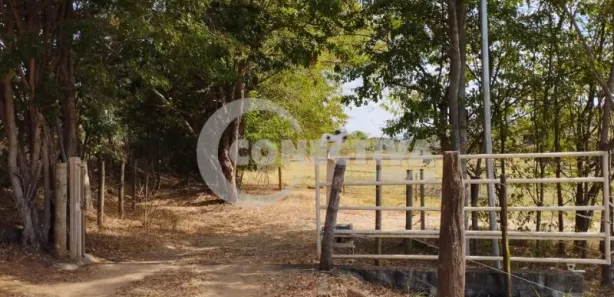 Fazenda/Sítio com 3 Quartos à venda, 47000m² no Área Rural de Inhumas, Inhumas