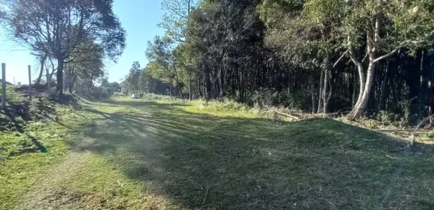 Lote/Terreno à venda, 26666m² no Bela Vista, Caxias do Sul