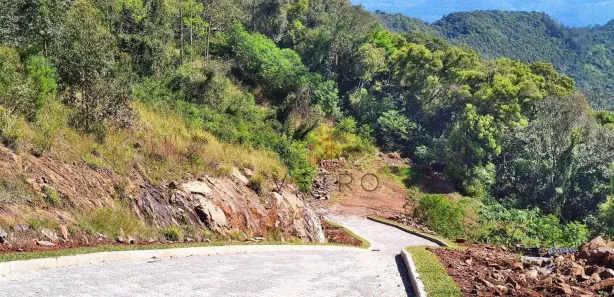 Lote/Terreno à venda, 490m² no Nova Petrópolis, Nova Petrópolis