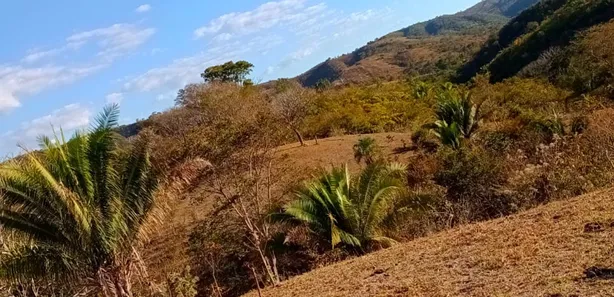 Fazenda/Sítio com 2 Quartos à venda, 80m² no , Padre Bernardo