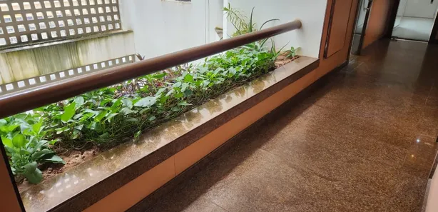 Sala Comercial à venda, 38m² no Brotas, Salvador
