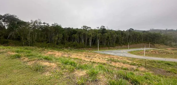 Lote/Terreno à venda, 250m² no Cézar de Souza, Mogi das Cruzes