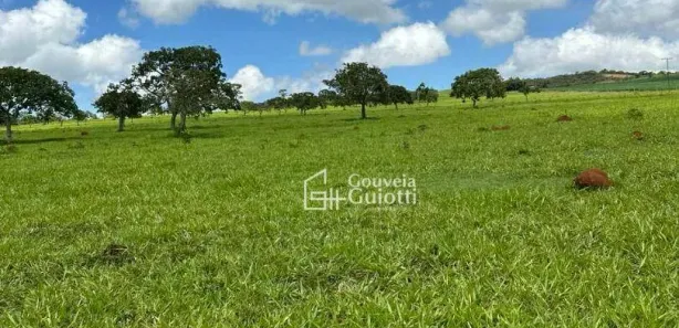 Fazenda/Sítio à venda, 4985200m² no , Leopoldo de Bulhões