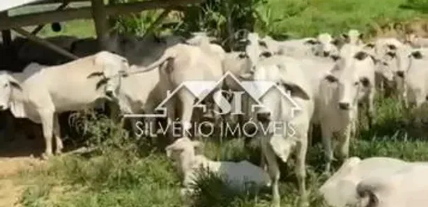 Fazenda/Sítio com 5 Quartos à venda, 350m² no Posse, Petrópolis