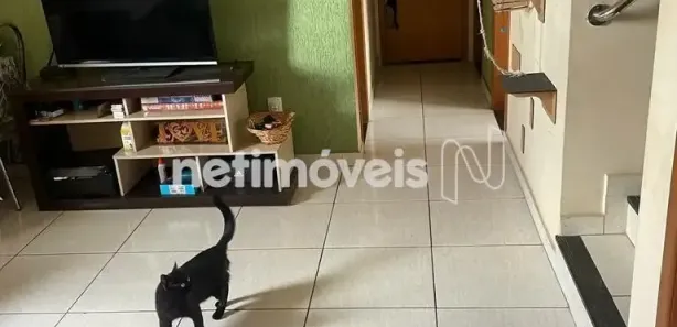 Cobertura com 3 Quartos à venda, 130m² no São Gabriel, Belo Horizonte