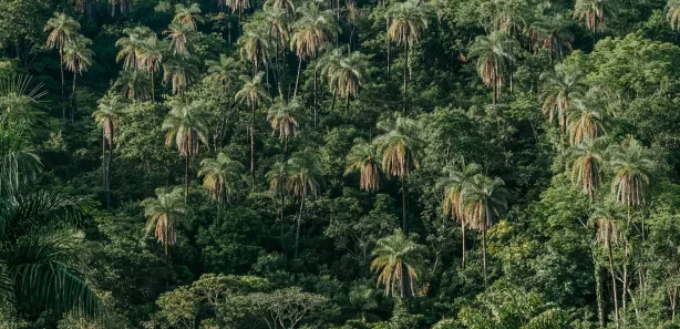 Lote/Terreno à venda, 20000m² no Lagoa Mansões, Lagoa Santa