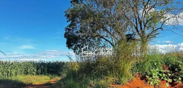 Fazenda/Sítio com 3 Quartos à venda, 40000m² no Setor IND. MUNIR CALIXTO, Anápolis