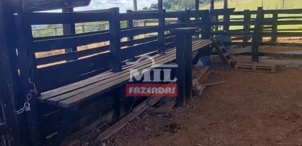Fazenda/Sítio à venda, 500m² no , Campo Limpo de Goiás