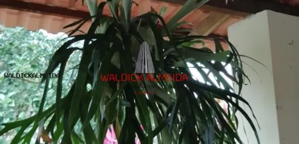 Casa de Condomínio com 4 Quartos à venda, 297m² no , Itaparica