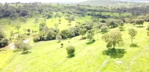 Fazenda/Sítio à venda no Vila São José, Inhumas